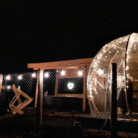 Tiny House Colibita Vila Exterior foto